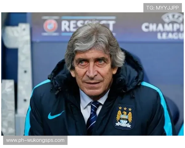 佩莱格里尼：从意甲新星到英超中场核心的生涯进阶