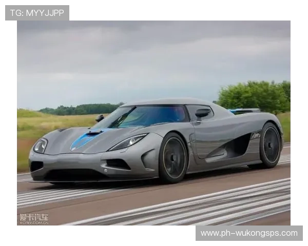 徐嘉余又买了辆天价跑车，游泳冠军居然这么壕？