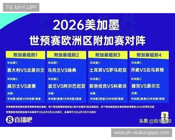波黑2026世界杯预选赛赛程分析及晋级前景预测 波黑2026世界杯预选赛赛程分析及晋级前景预测